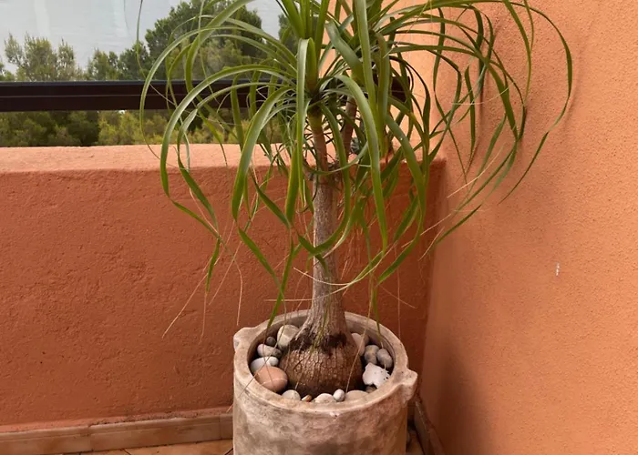 Apartament Frontview Sea Vista Calpe